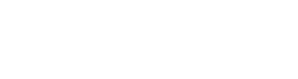 Designed Securities Logo